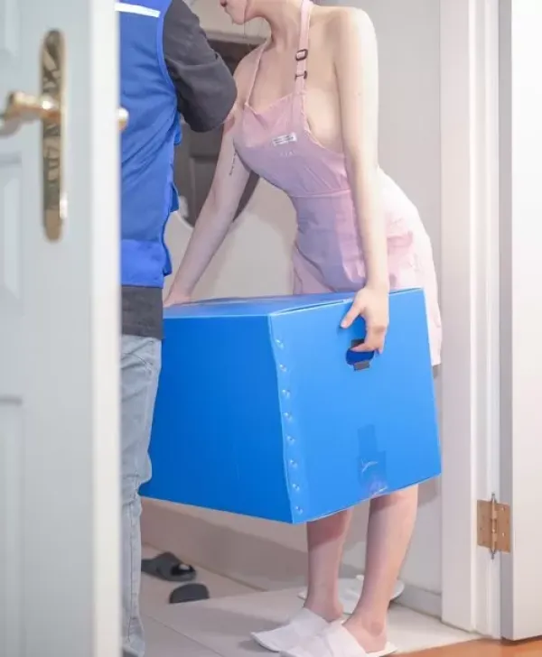 이삿날은 이런가요